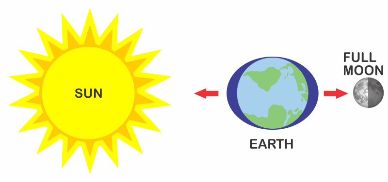 Spring tide explained