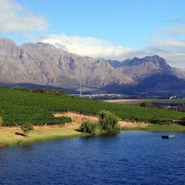 Stellenbosch