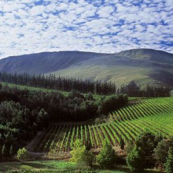 Elgin Valley