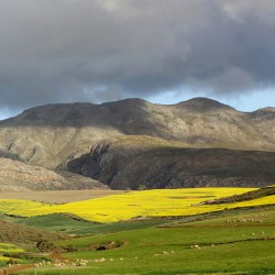 Overberg