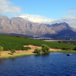 Stellenbosch